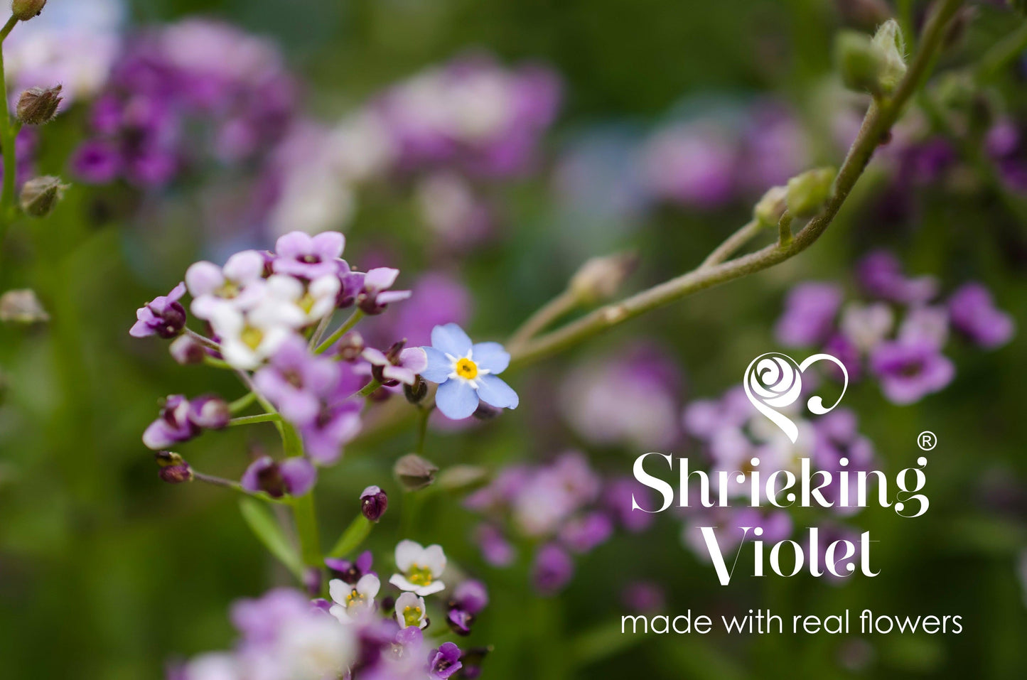 Sterling silver round link bracelet handmade with real flowers by